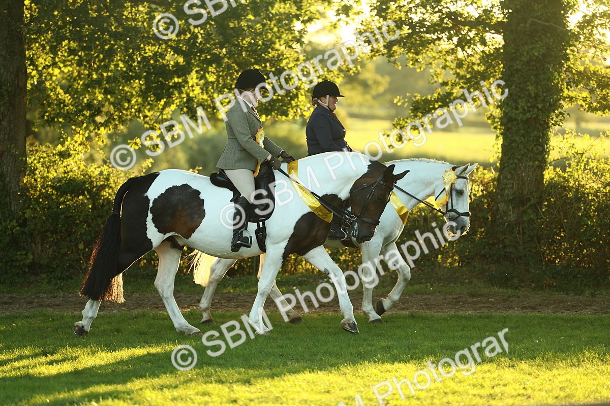 SBM_56598 - S14 - Riding Club Horse