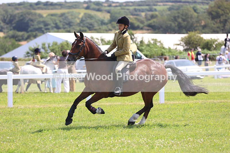 JPP_2991 - Class 22: Working Hunter 70cm