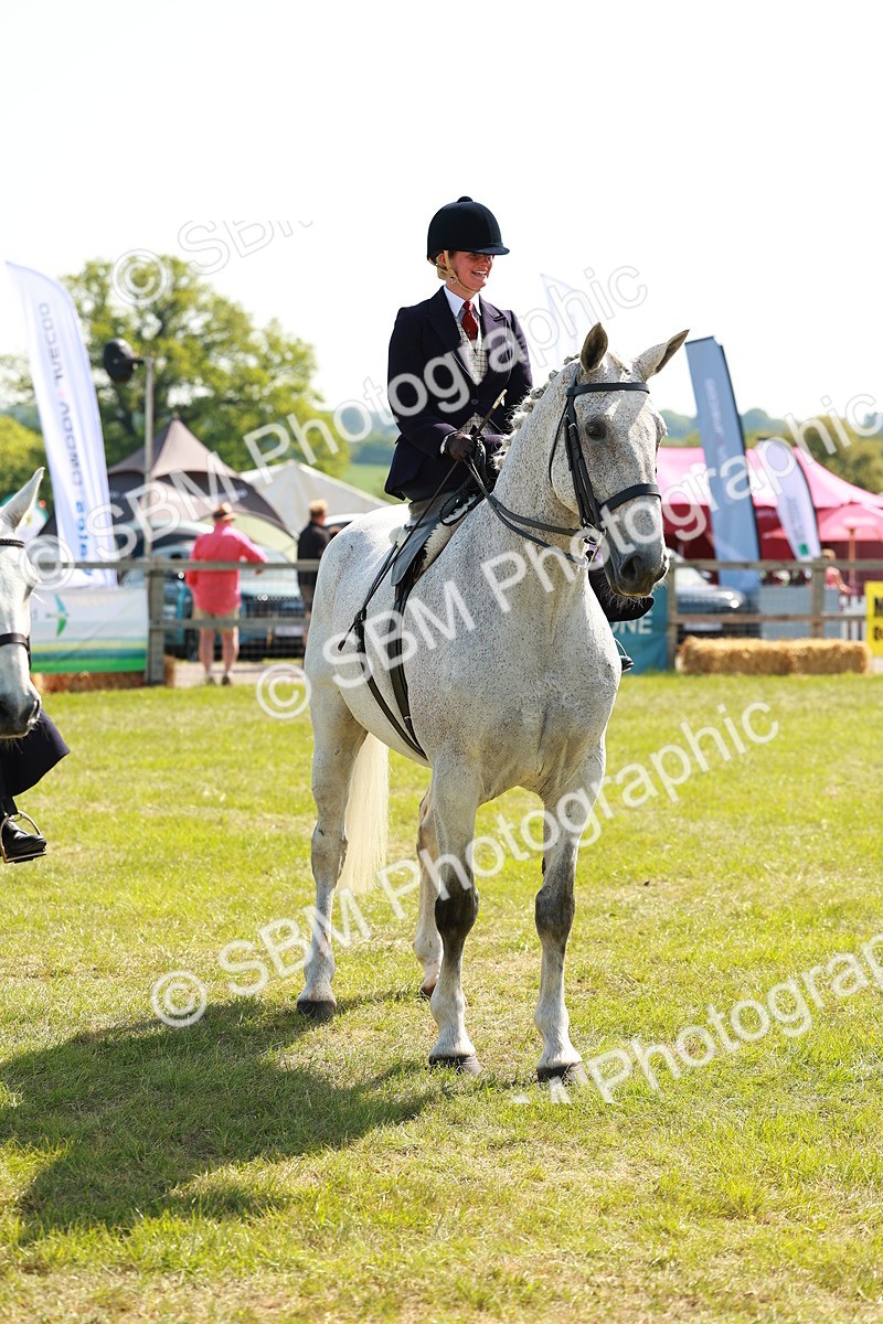 SBM_13240 - Class 70-71 - Side Saddle