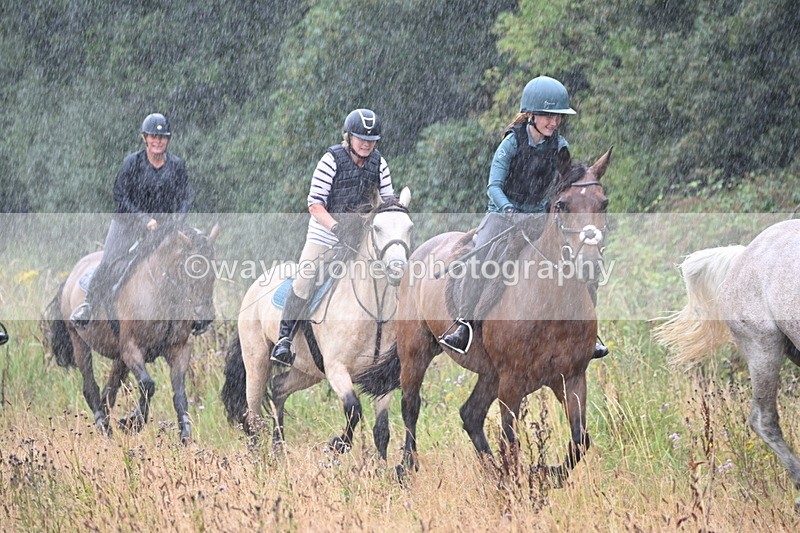 WJ6_1876 - Group 2