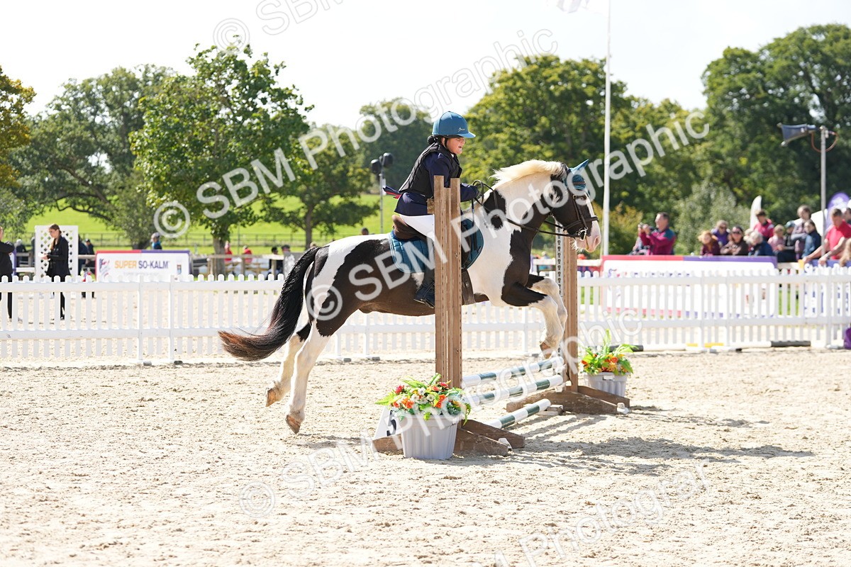 SBM_18197 - J58 - Clear Round 50cm