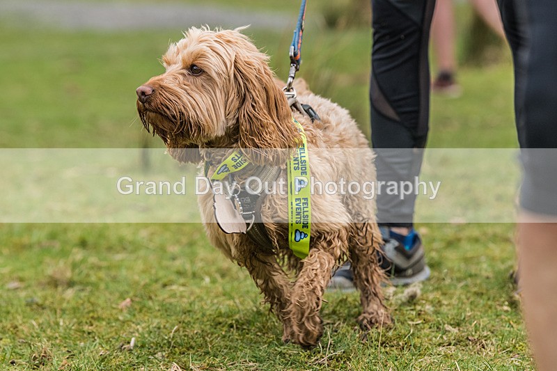 Buttermere-1676 - Fellside Events Buttermere Trail Race Sunday 22nd March 2026
