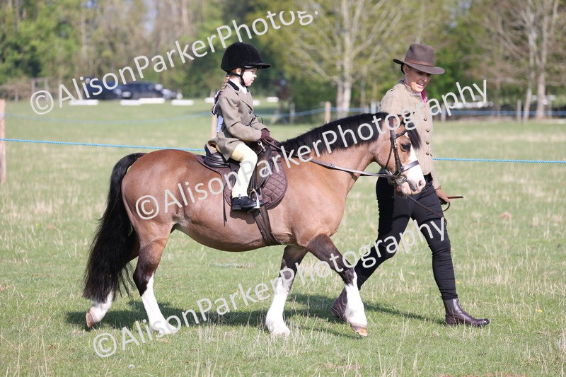 20250427-0087 - Class 30 - Tiny Tots Lead Rein