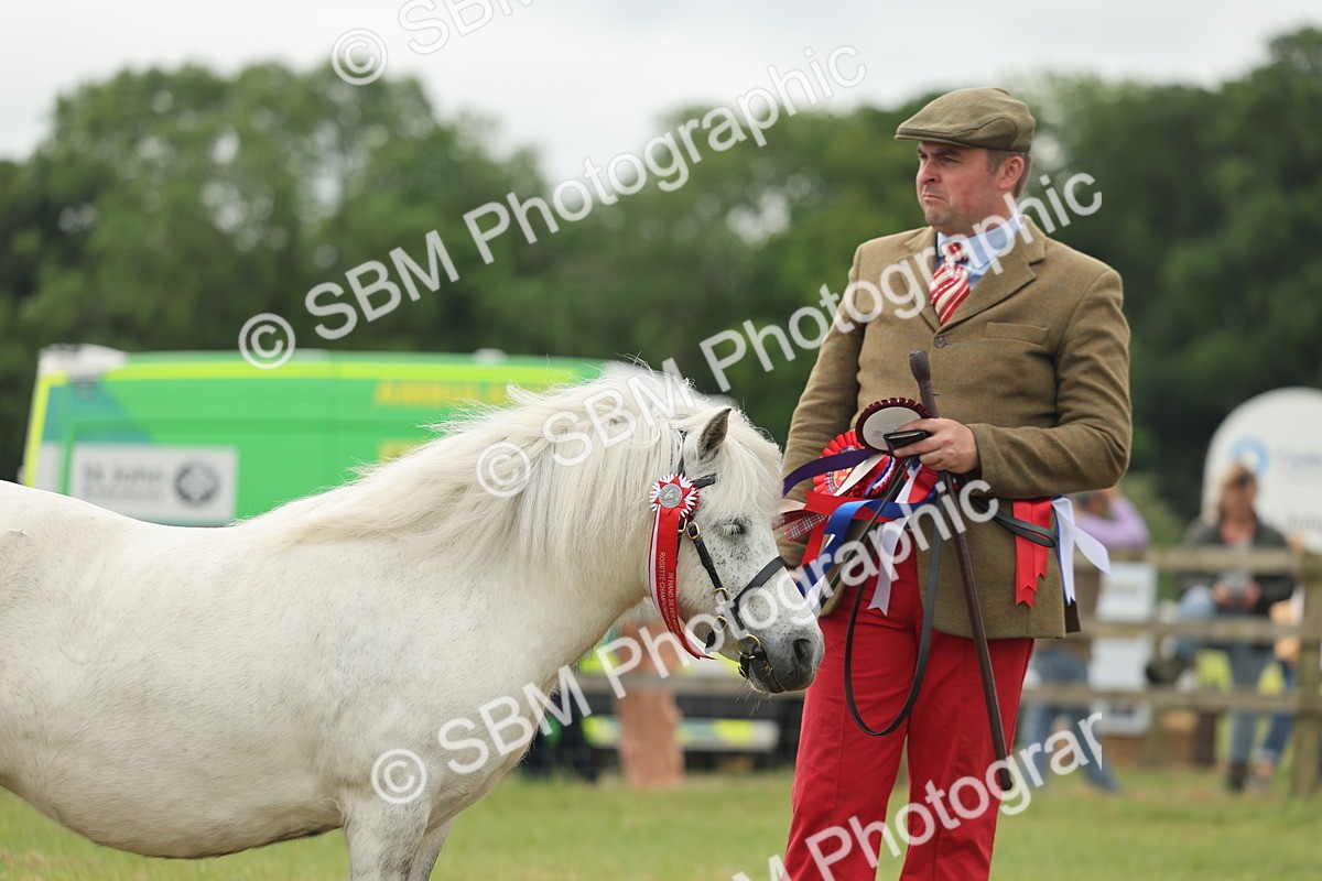 SBM_05102 - Class 50-57 - M&M Welsh Pony In Hand