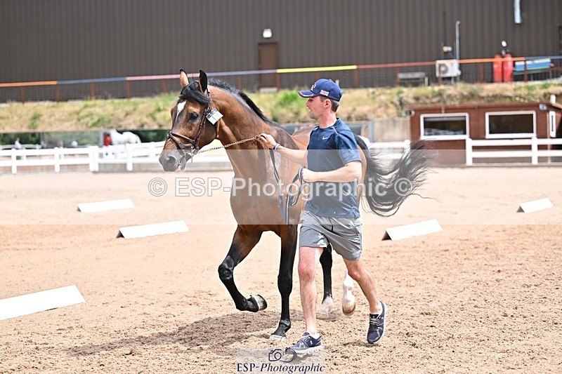 250716-132648-00519 - Trot Up 12.30 to 1.30