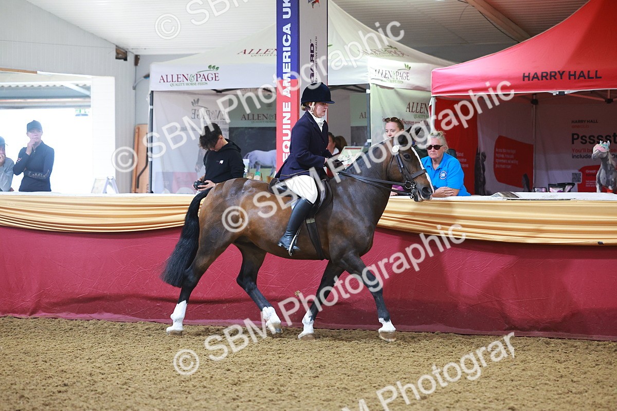 SBM_14656 - Class B - Junior Champ 11 to 16 Years