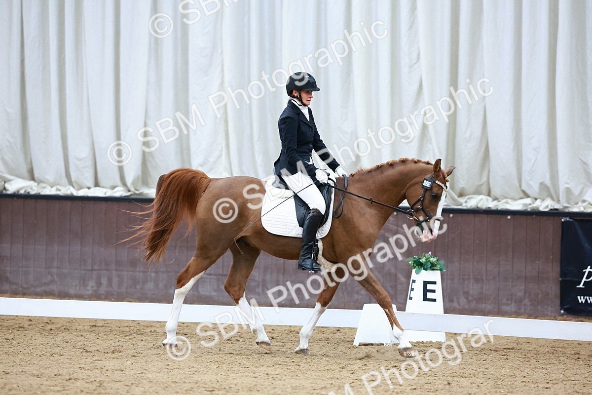 0B8A8104 - Class 5 - Novice 2