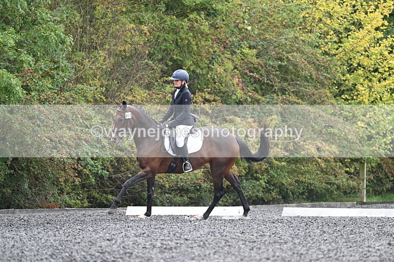 WJ7_3862 - Time 11:04 to 11:38