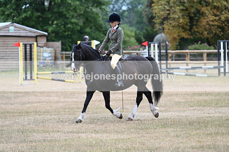 WJ7_0325 - Class 6 Ridden Mountain and Moorland