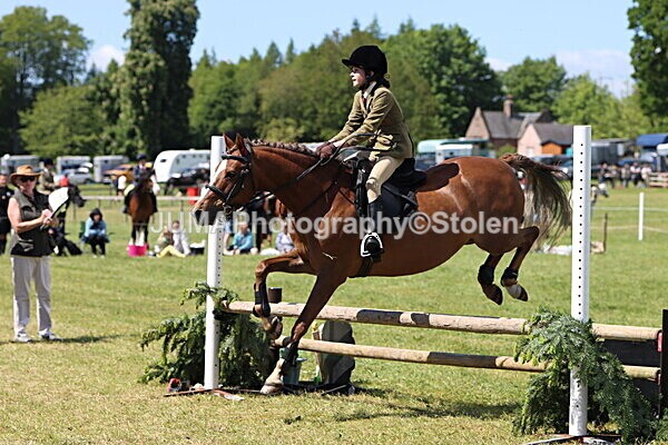 IMG_3635 - Working Hunter