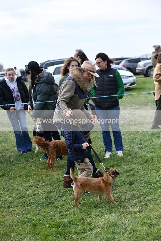 WJ5_0305 - Class 7 Best Terrier