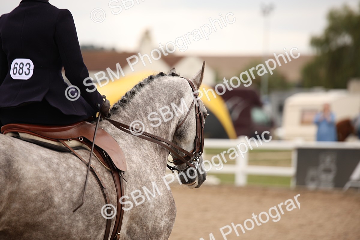 SBM_05492 - Class 22 SSA Equitation