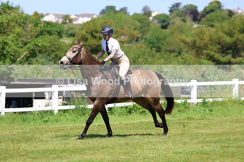 3E7A6943 - Class 30: Novice Working Hunter