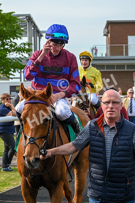 020526-Race 7-Rising Force-0309 - Race 7 5.00pm Sky Bet Irish Day Saturday 16th May Book Now Handicap