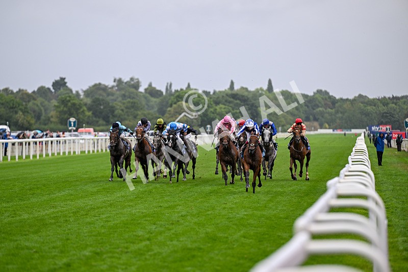 200826-Race 3-The Lost King-3325 - Race 3 15.00pm Sir Kevin Sinfield 7 In 7 Grand Finale Handicap