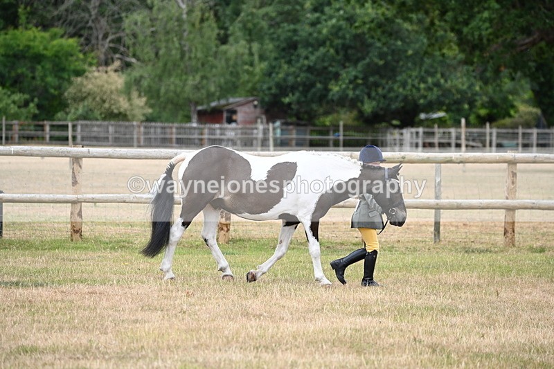 WJ6_4176 - Class 10 Coloured In-hand