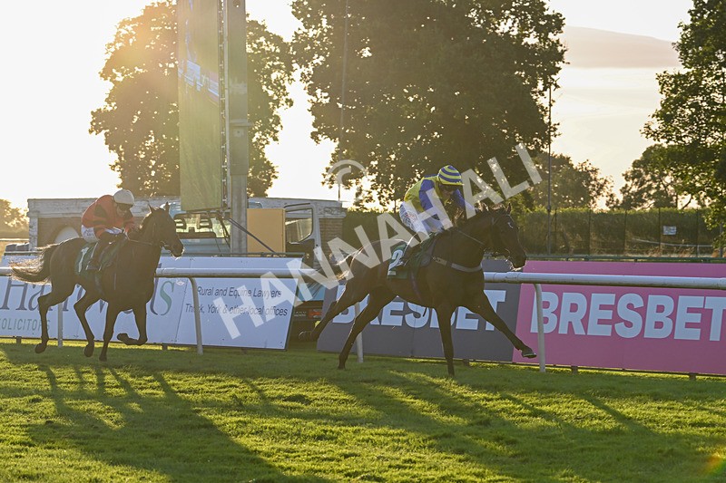 160824-Race 6-Smart Vision-9792 - Race 6