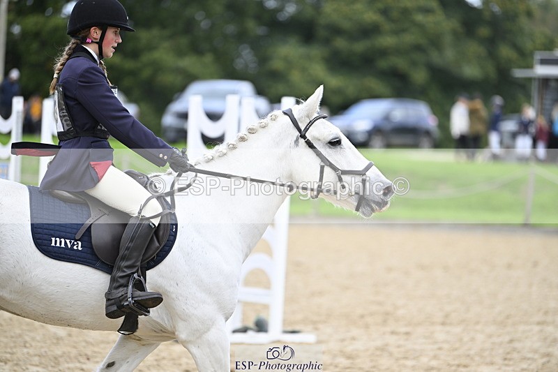 251005A-130544-04046 - Cls 08 Mini 70-75cm