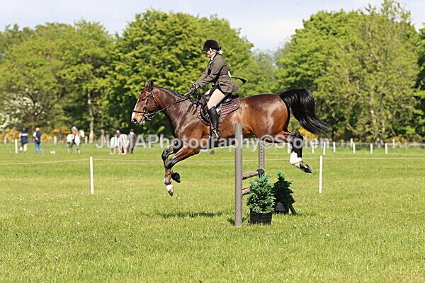 IMG_4461 - Working Hunter