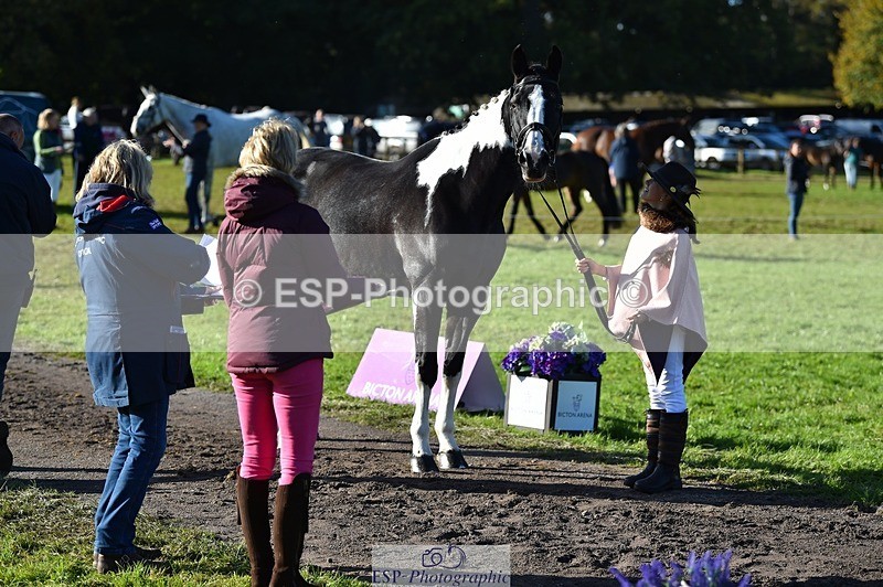 231022-104052-22661 - 438-KILCORBAN.MY.FAIR.LADY-Natasha.Crapper-TrotUp+SJ