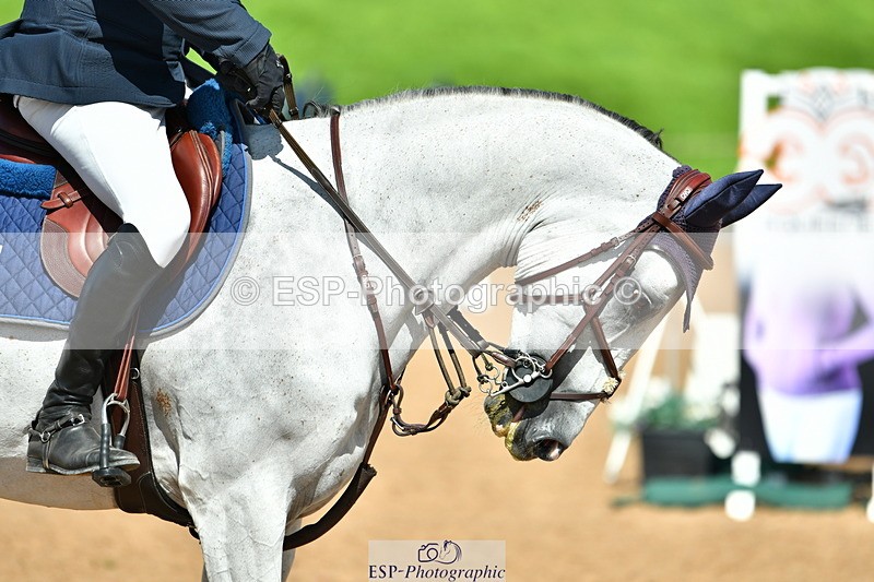 230811A-144520-05807 - Cls 23 Chard Eq 7Yr Old Champs