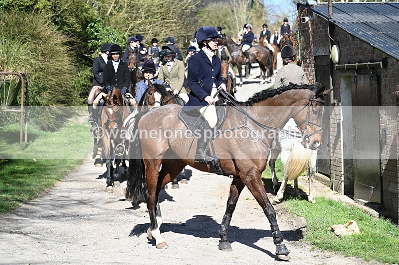 WJ7_9698 - Home for hunt tea !