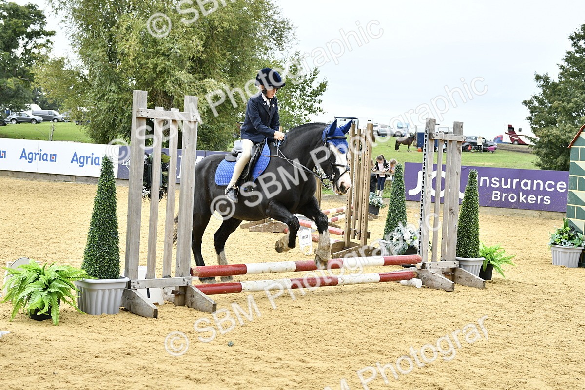 SBM_65430 - J2a mini Tour Junior Pony 30cm Championship