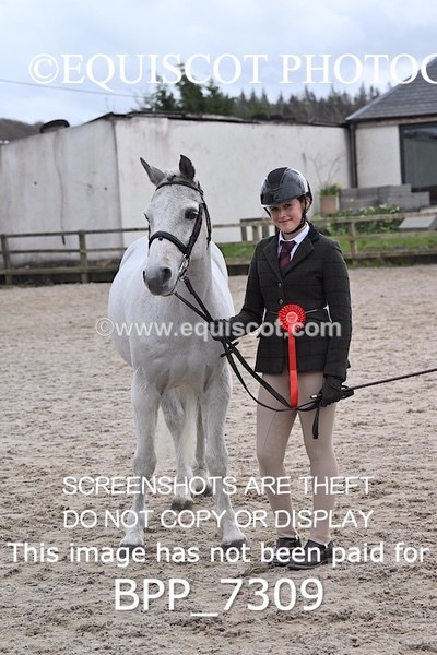 BPP_7309 - RING 1  (RIDDEN HORSES / IN HAND / VETERAN ETC)