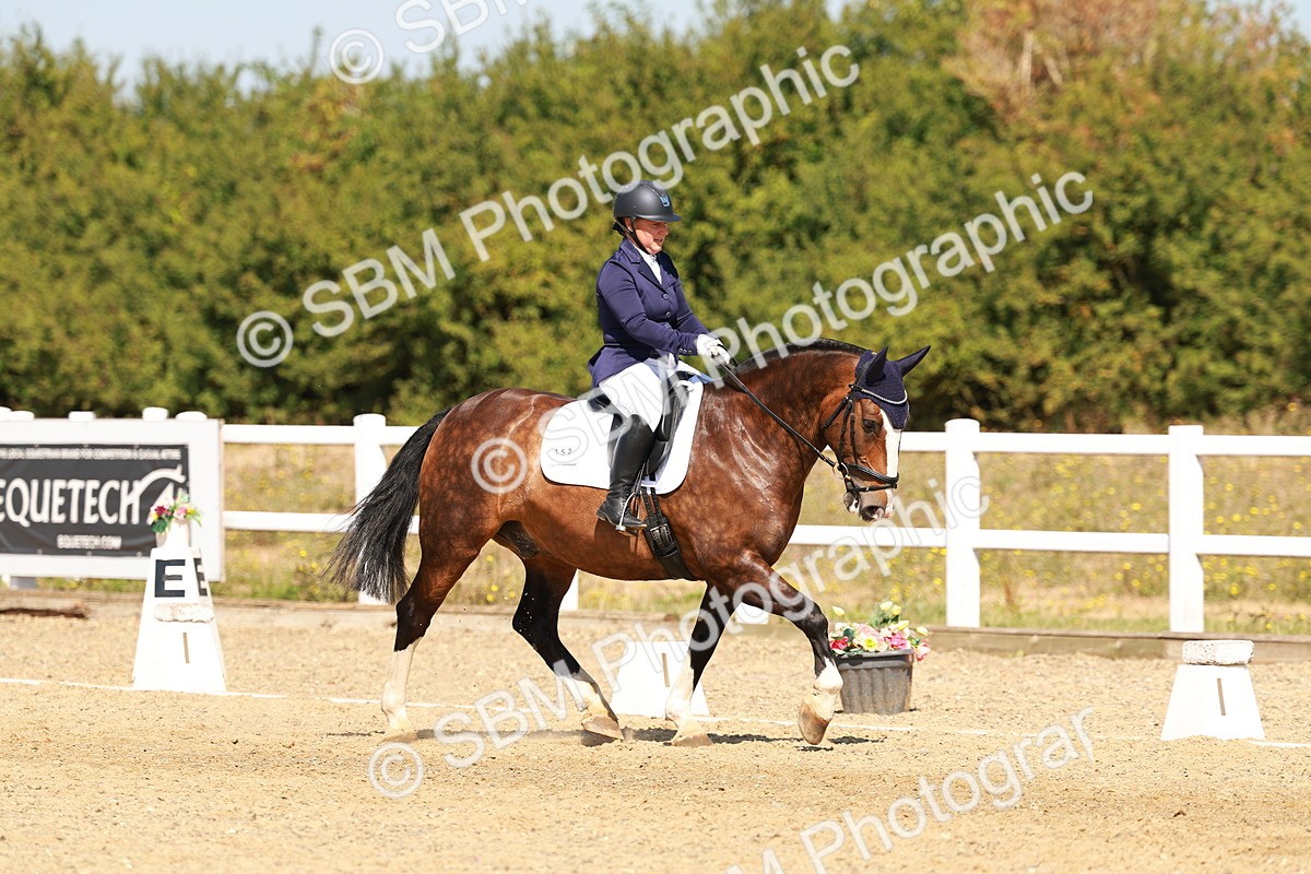 SBM_017953