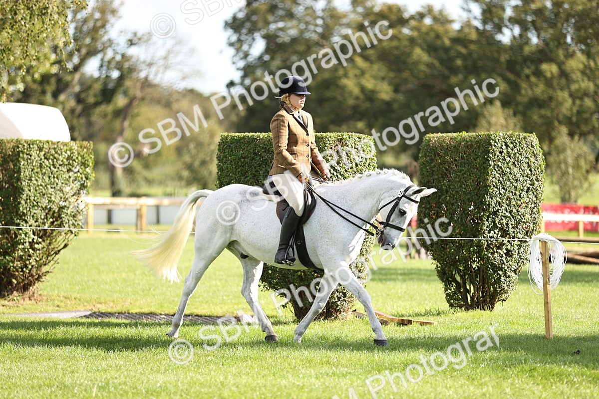 SBM_26360 - S6 - Novice & Newcomers Ridden Horse