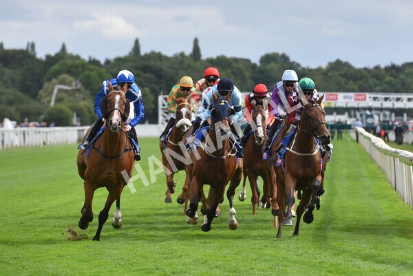 yr17082022r5-29 - Race 5 4.10pm Sky Bet Stayers Stakes