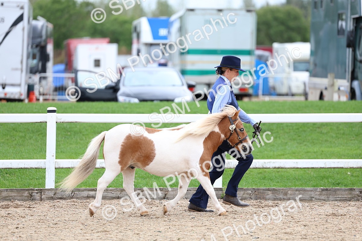SBM_05877 - Class 29 - IH Veteran Pony