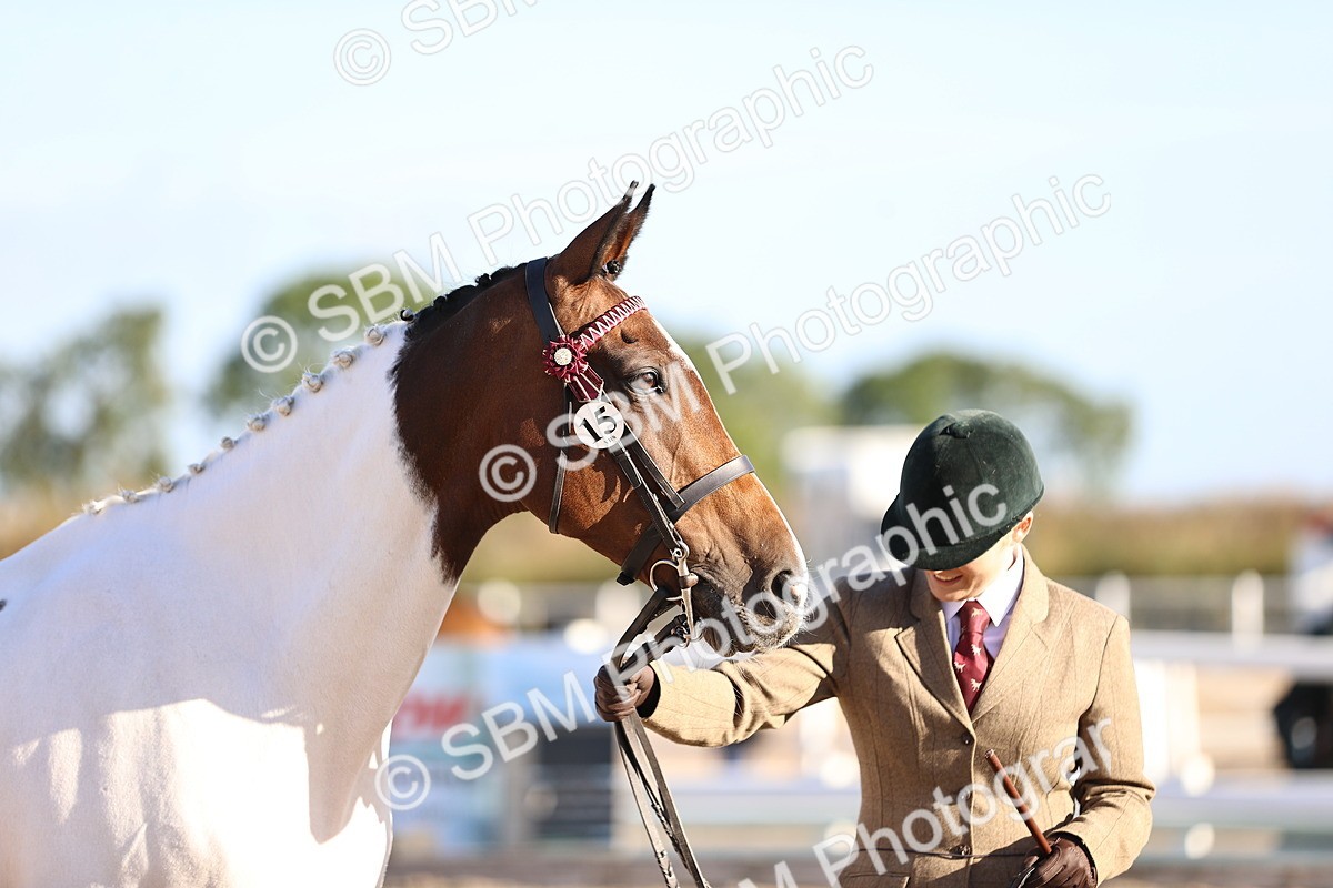 SBM_08368 - Class 401 - IH Veteran Horse