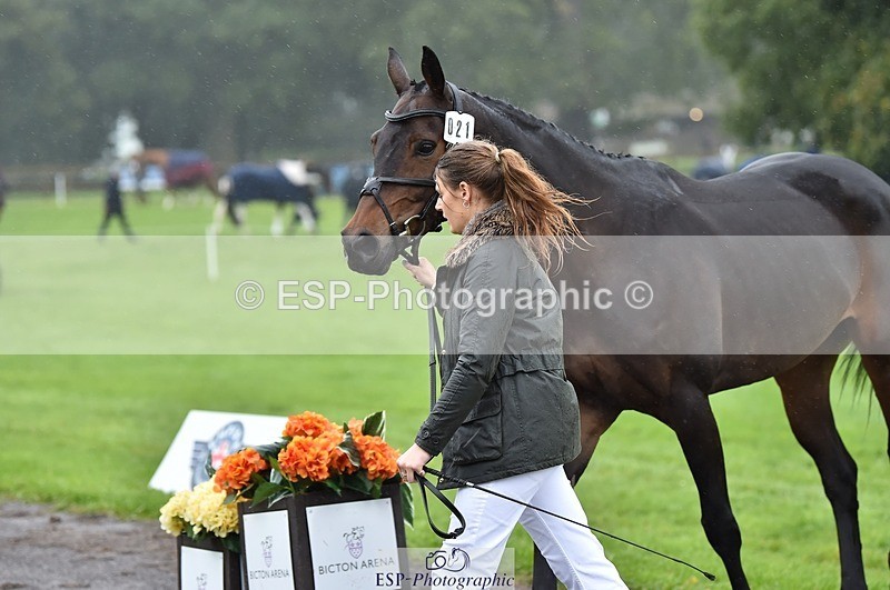 231018-121132-00130 - 021-DESTINY-Annie.Smith-TrotUp