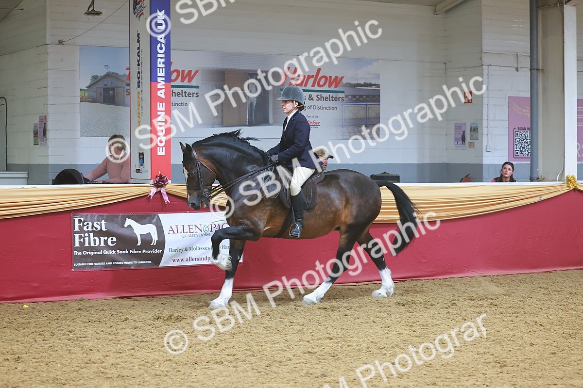SBM_17755 - Class 952 - M&M Ridden Supreme Final