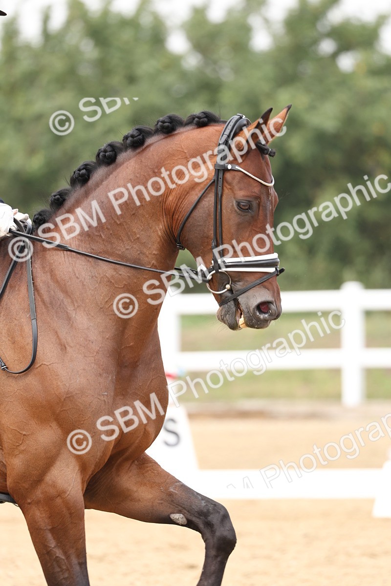 SBM_007471 - Class 9 - FEI INT I - 14.57-15.45