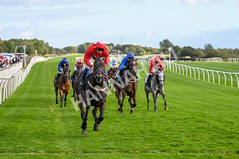 021024-Race 6-Redrosezorro-9651 - Race 6