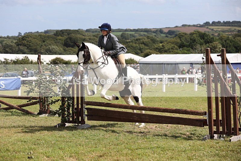 JPP_2202 - Class 19: Working Hunter 60cm