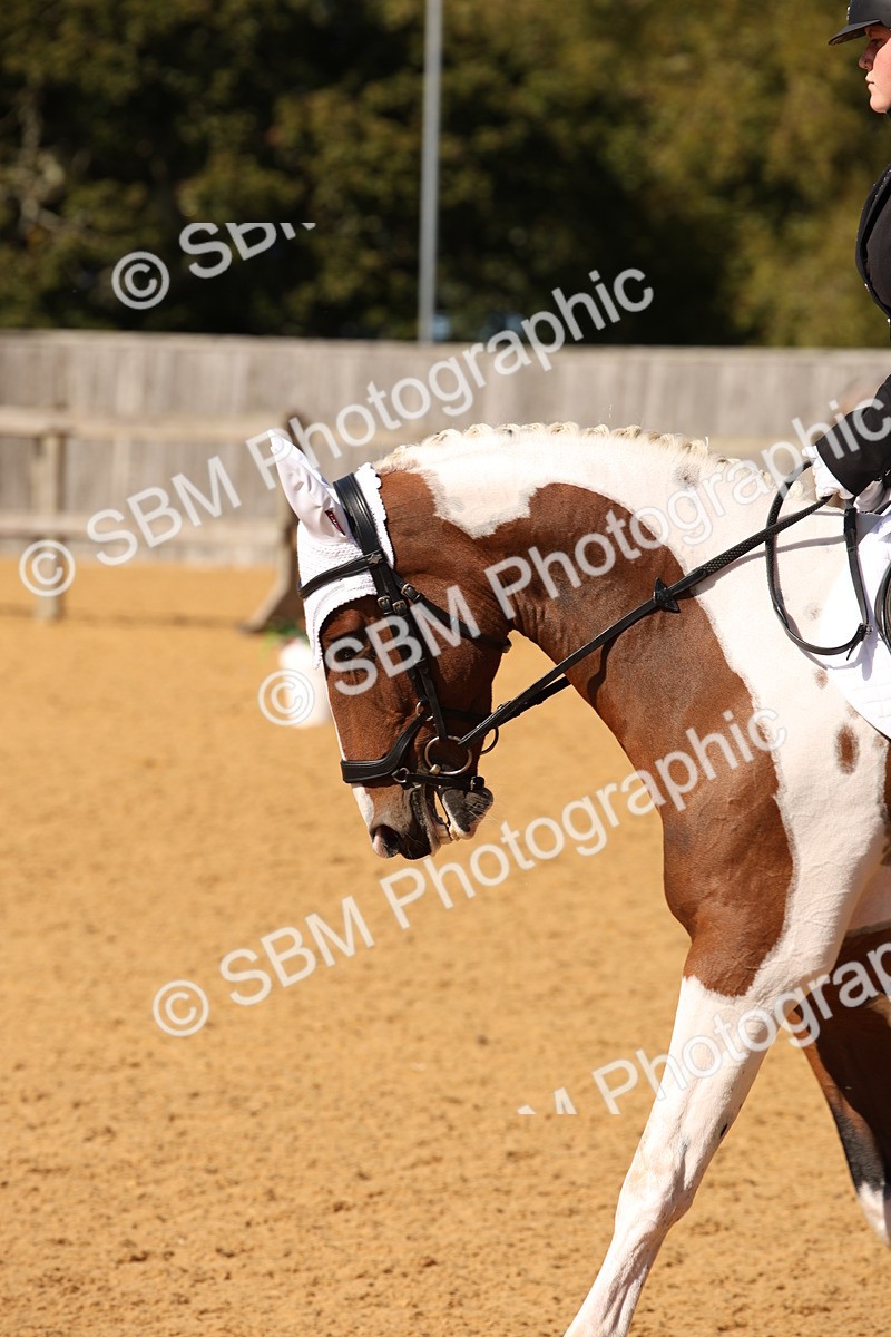 SBM_24201 - D5 - Small Tour Championship - Intro C