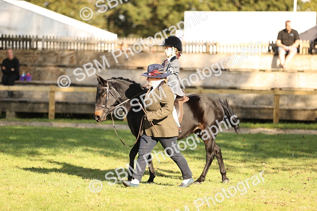 SBM_29378 - S7 - Novice & Newcomers Ridden Pony