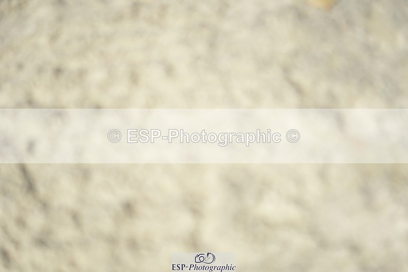 230909-120424-05561 - Cls 17 Snr 1.05m Open