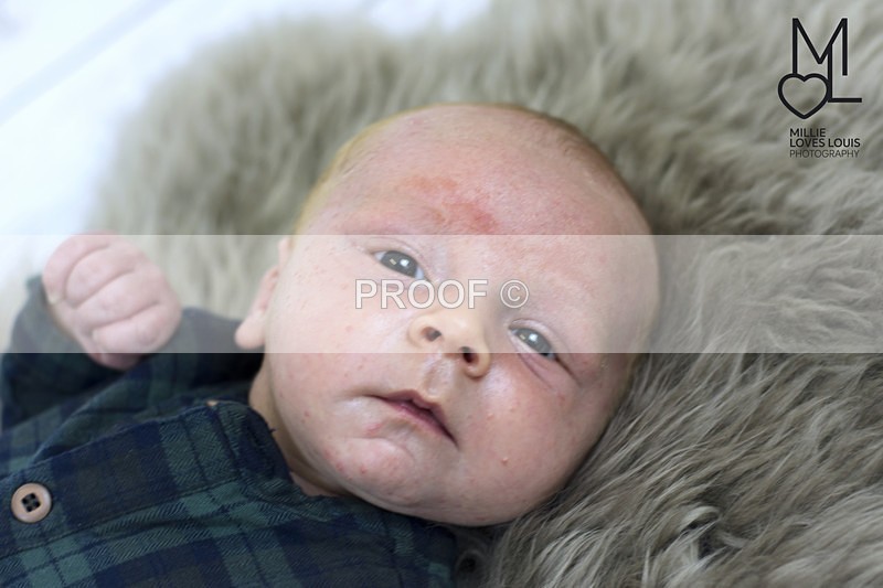 DSC_6630portfolio - Newborn Photoshoots