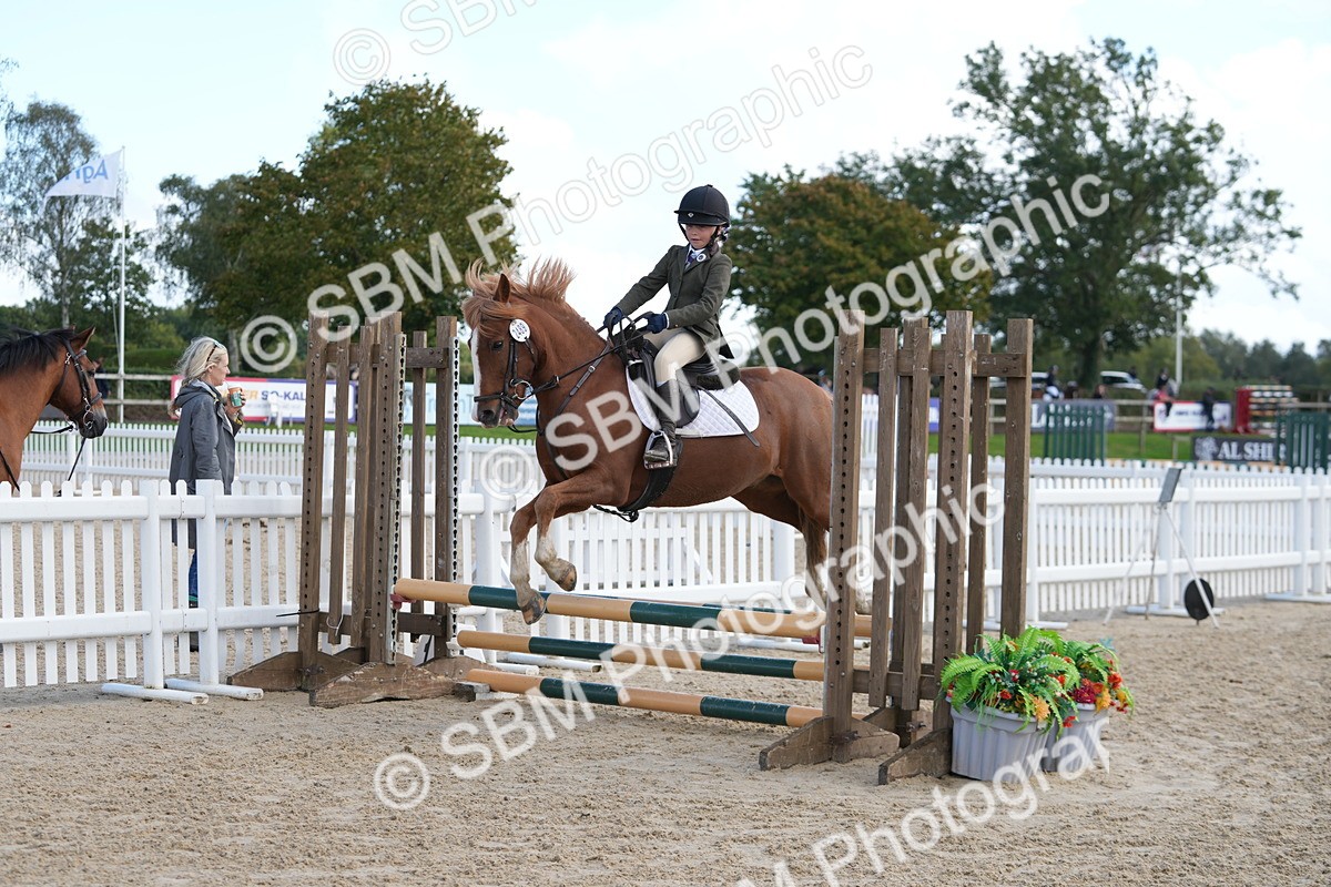 SBM_46725 - J7 - Junior Pony 60cm Championship
