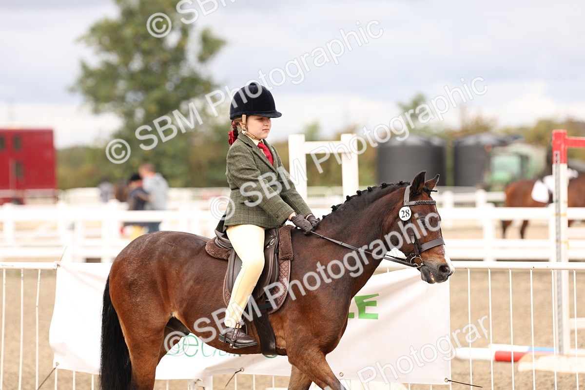 SBM_02770 - Class 53 - Ridden Competition Horse/Pony