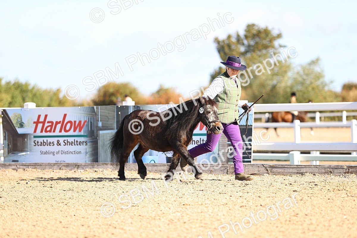 SBM_08447 - Class 402 - IH Veteran Pony