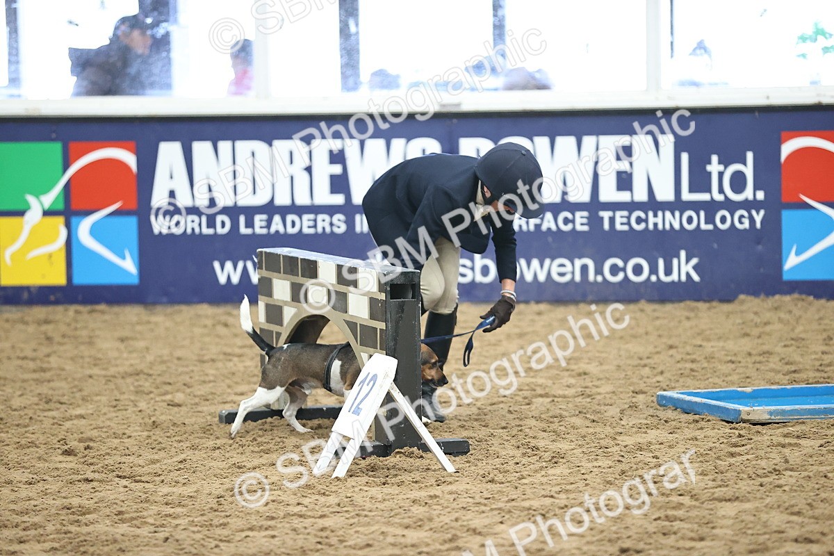 SBM_001179 - Class 3 - Horse & Hound 60cm