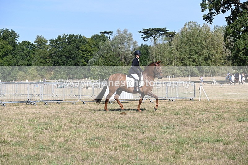 WJ6_7222 - Class 33 Rescue Pony