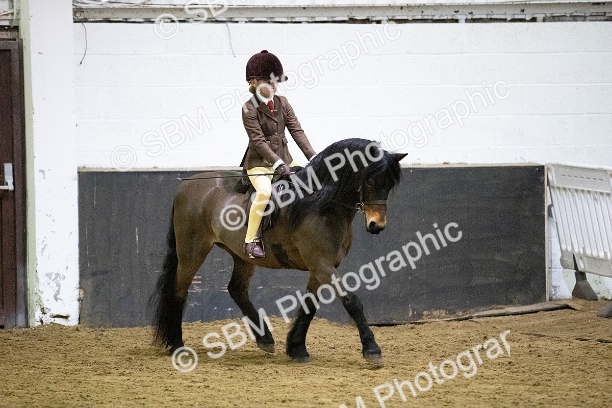 SBM_008925 - Class 23-26 - Novice-Open M&M LR-FR