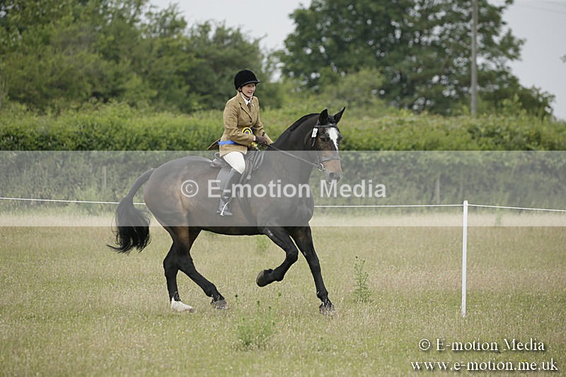 B230619-0364 - Bourne Valley Riding Club Summer Show 23/06/19