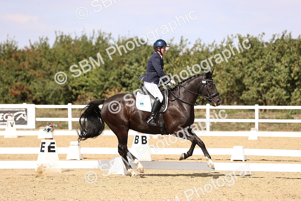 SBM_015043 - Class 6 - Elementary 5